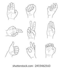 Collection of male hand gestures on white background. Sketches vector.