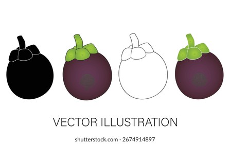 Una Colección de Mangostinos - Ilustraciones vectoriales aisladas para el Diseño gráfico