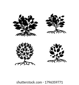 Collection mangrove tree, leaf and roots, with silhouette style, the icons of black and white color.