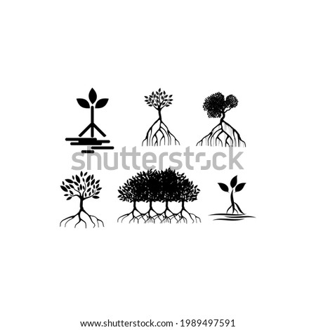 Collection mangrove tree, leaf and roots, with silhouette style, the icons of black and white color.