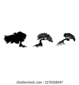 Collection mangrove tree vector silhouette, black and white colors