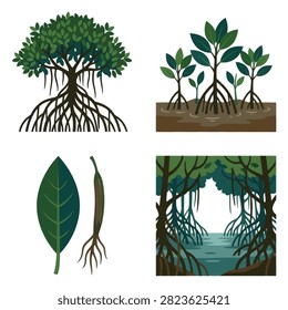 A collection of mangrove trees and leaves in flat style