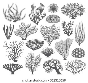 Collection of many different Coral and coral formations Vector Silhouettes
