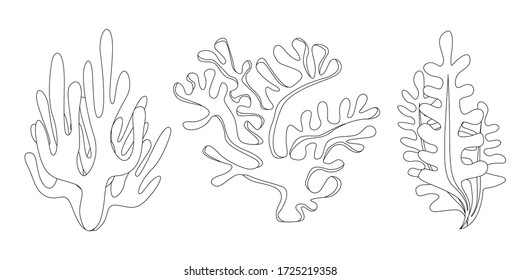 Collection of many different coral Line drawing. The contour of the coral. Icon. Underwater design elements