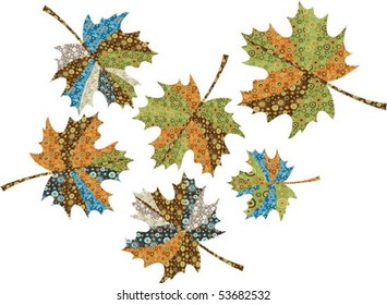 Collection of  maple autumn leaves