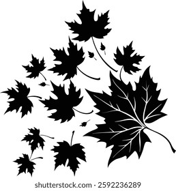  A collection of maple leaf silhouettes in various sizes and orientations, creating a scattered pattern across the frame.
