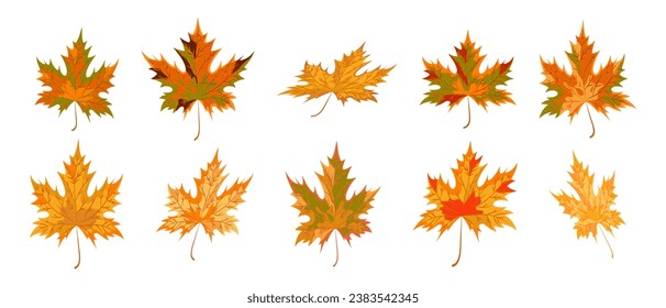 Sammlung von Ahornblättern in verschiedenen Positionen. Ahornblätter einzeln. Cartoon-Stil. Orange, gelbe, grüne, braune, goldene Farben. Satz von Vektorsymbols und -symbolen.