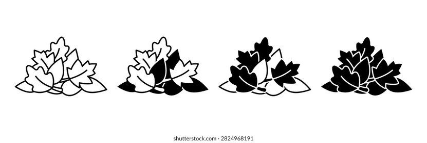 A collection of maple leaves showcasing various colors and stages of decay, highlighting the beauty of autumn foliage.