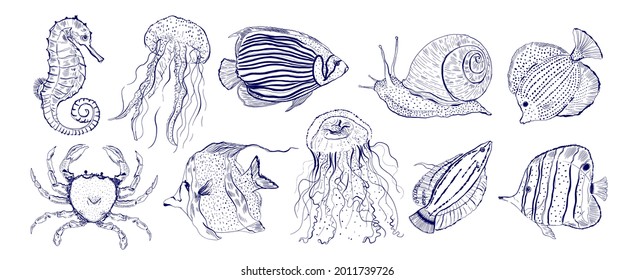 Collection marine animal fish.Sketch outline hand drawn.Crab,snail,seahorse,jellyfish and other.Vector illustration.