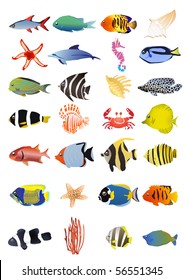 Collection of marine animals, vector illustration