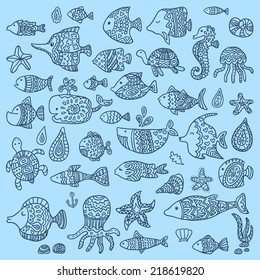 The collection of marine fish and mammals