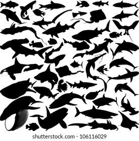 The collection of marine fish and mammals (vector-illustration);