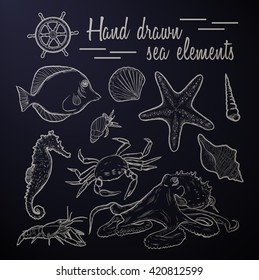 Collection of marine inhabitants. Vector set. Sea shell Hand drawn seashell marine engraving illustration on  black background.