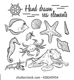 Collection of marine inhabitants. Vector set. Sea shell Hand drawn seashell marine engraving illustration on white background. Sea shell etch sketch drawing.