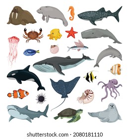Collection of marine life. Animals living in the sea and the ocean. Flat illustrations. svg