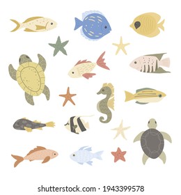 Collection of marine life - fish, sea turtles and starfish. Nature under water. Flat design, vector illustration