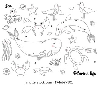 Collection of marine life. Set of animals and birds - whale and dolphin, seagulls and fish, crab and jellyfish, turtle and octopus. Vector. Sketch, line. Isolated on white
