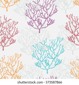 Collection of marine plants, corals and seaweed. Vintage seamless pattern with hand drawn marine flora. Vector illustration in line art style.