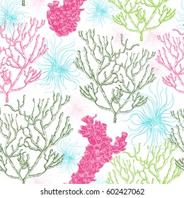 Collection of marine plants, corals and seaweed. Vintage seamless pattern with hand drawn marine flora. Vector illustration in line art style.