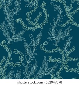 Collection of marine plants, leaves and seaweed. Vintage seamless pattern with hand drawn marine flora. Vector illustration in line art style.