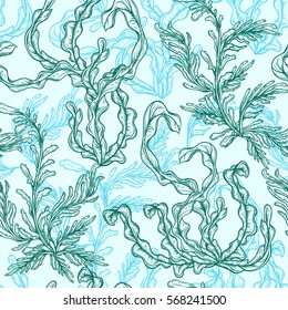 Collection of marine plants, leaves and seaweed. Vintage seamless pattern with hand drawn marine flora. Vector illustration in line art style.