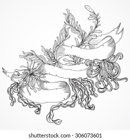 Collection of marine plants, seaweed and ribbon banner . Vintage set of black and white hand drawn marine flora. Isolated vector illustration in line art style.Design for summer beach, decorations.