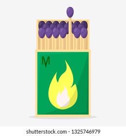Collection of matches. Burning match with fire, opened matchbox. Flat design style.