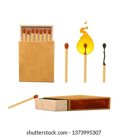 Collection of matches, burning match with fire, opened matchbox, burnt matchstick vector