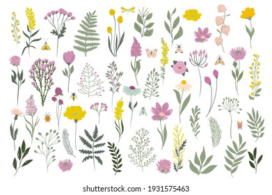 Collection of meadow flowers and leaves. Botanic spring collection. Editable vector illustration.