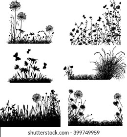 Collection of meadow plants