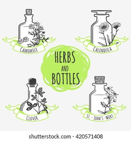Collection of medical bottles and herbs for your design.