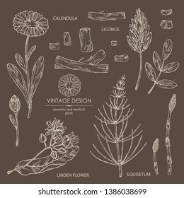 Collection of medical plant: calendula flowers, licorice flower and root, linden flower and escape equisetum and plant. Cosmetics and medical plant. Vector hand drawn illustration.