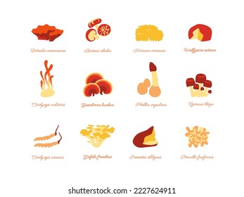 Collection of medicinal mushrooms. Vector icons set