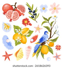 Collection of Mediterranean summer inspired objects. Hand drawn Amalfi themed set includes pomegranates, lemon branches, olives, oysters, sea shells, blue bird and flowers. Flat vector illustration.