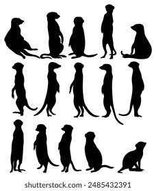 Collection meerkat silhouette vector illustration