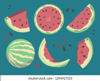 Collection of melon vector illustrations including full fruits, pieces, slices and seeds