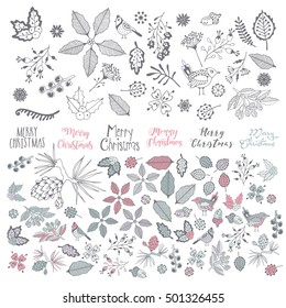 Collection of Merry Christmas And Happy New Year flowers. Greeting stylish illustration of winter romantic flowers, berries, leafs. Good for cards or posters.