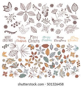 Collection of Merry Christmas And Happy New Year flowers. Greeting stylish illustration of winter romantic flowers, berries, leafs. Good for cards or posters.