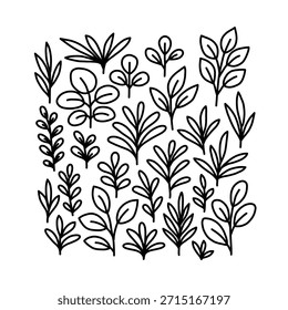 A collection of minimalist hand-drawn leaf sprig elements. Black line art isolated on white background. Use for design elements and organic decoration.