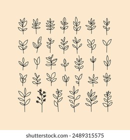 Collection of minimalist leaf on a beige background. Perfect for botanical designs, nature-themed projects, and organic branding