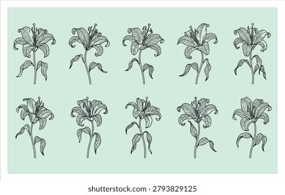 Collection of minimalist line art drooping lily and wilted flower symbols for moody aesthetic nature branding and floral design projects.