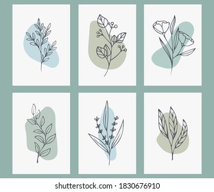 
Collection of minimalistic posters with plants. Modern Art. Vector illustration.