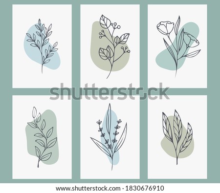
Collection of minimalistic posters with plants. Modern Art. Vector illustration.