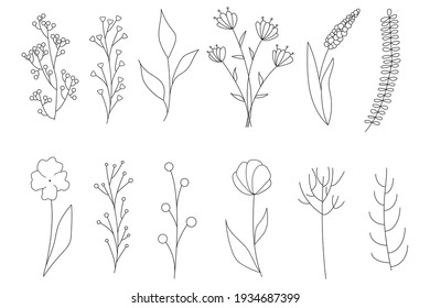 Colección de elementos florales simples minimalistas. Esbozo gráfico. Diseño de tatuajes de moda. Flores, hierba y hojas. Elementos botánicos naturales. Ilustración vectorial. Esquema, línea, estilo de doodle. 