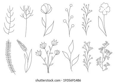 Collection of minimalistic simple floral elements. Graphic sketch. Fashionable tattoo design. Flowers, grass and leaves. Botanical natural elements. Vector illustration. Outline, line, doodle style. 