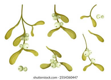 Collection of mistletoe branches and berries. Great for invitation design, patterns, cards, printing, decorations. Vector illustration on white background