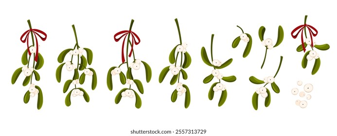 Collection of mistletoe branches with white berries and red bow. Christmas decoration. Vector illustration on white background.