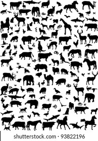 collection of mix animals silhouette - vector