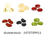 Collection of mix bean ( red kidney, green mung, black bean, soy beans, and millet ) isolated on white background. Top view. Icon vector illustration.