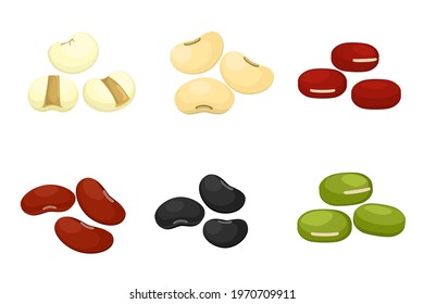 Collection of mix bean ( red kidney, green mung, black bean, soy beans, and millet ) isolated on white background. Top view. Icon vector illustration.